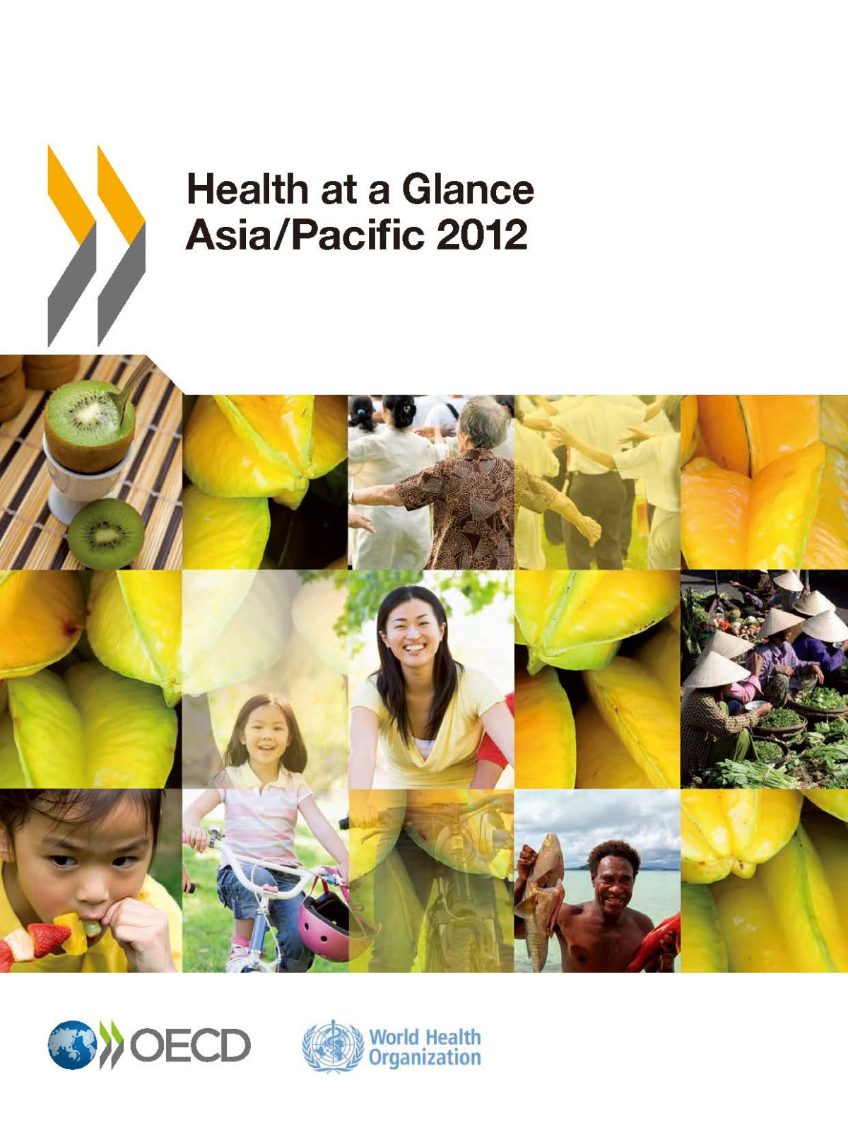 Health At A Glance Asiapacific 2012 Measuring Progress Towards Universal Health Coverage Volume 2012 2nd Edition Oecdwho