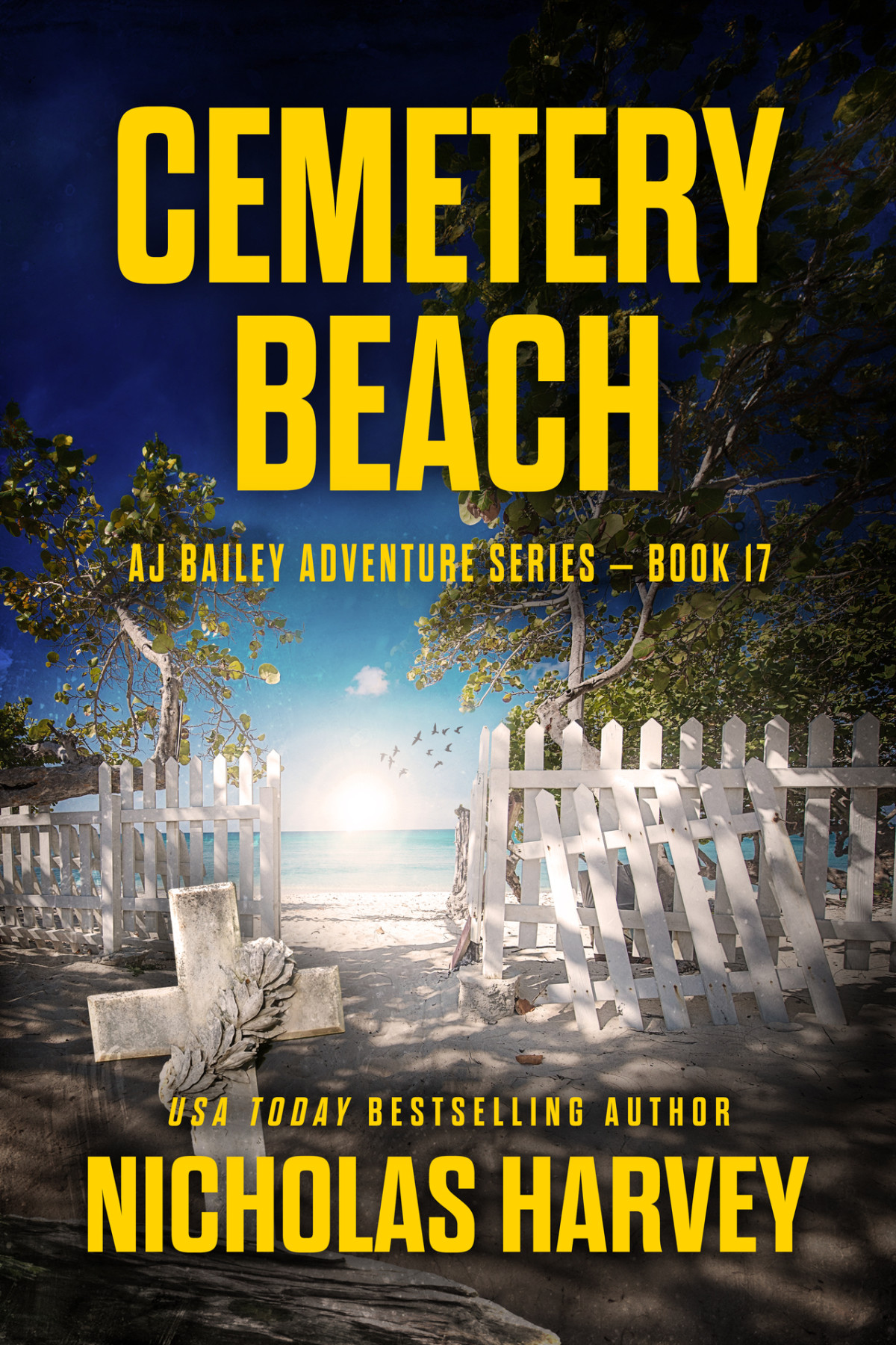 Cemetery Beach Nicholas Harvey