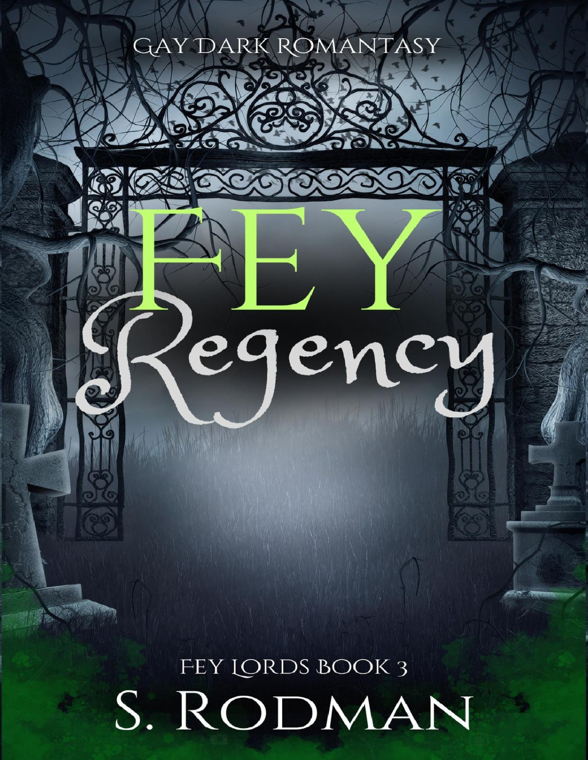 Fey Regency Gay Dark Romantasy S Rodman