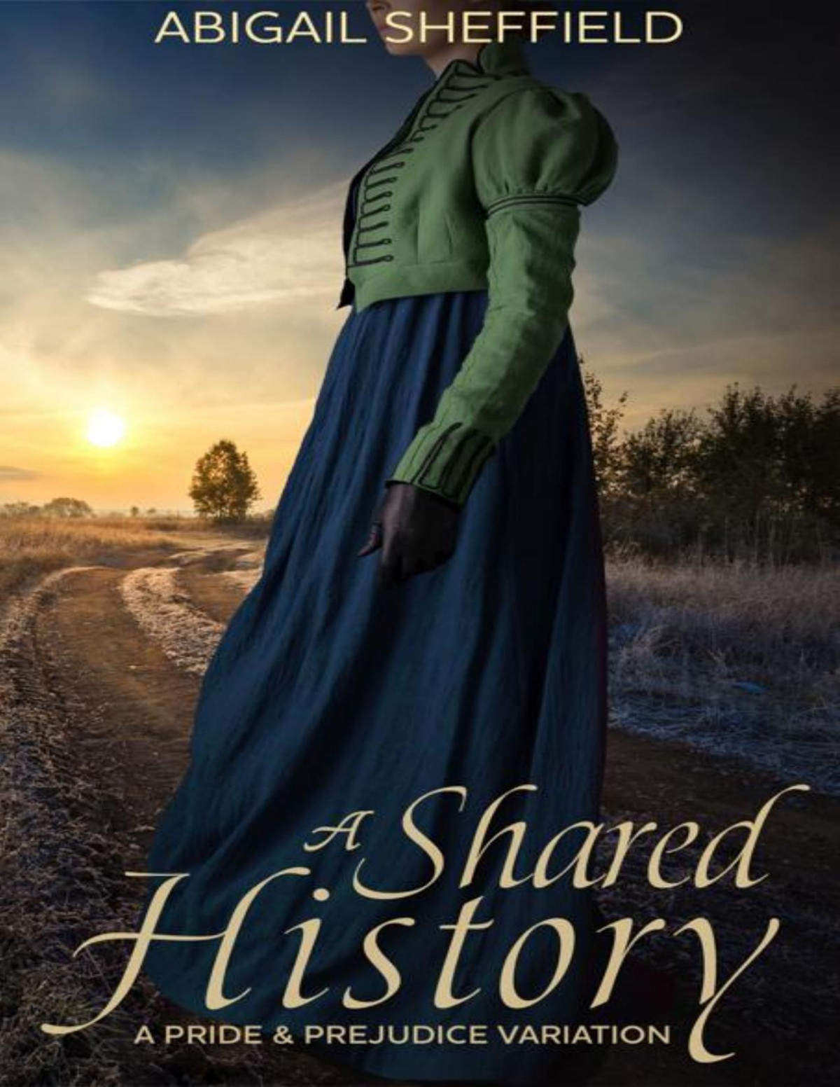 A Shared History A Pride And Prejudice Variation Abigail Sheffield