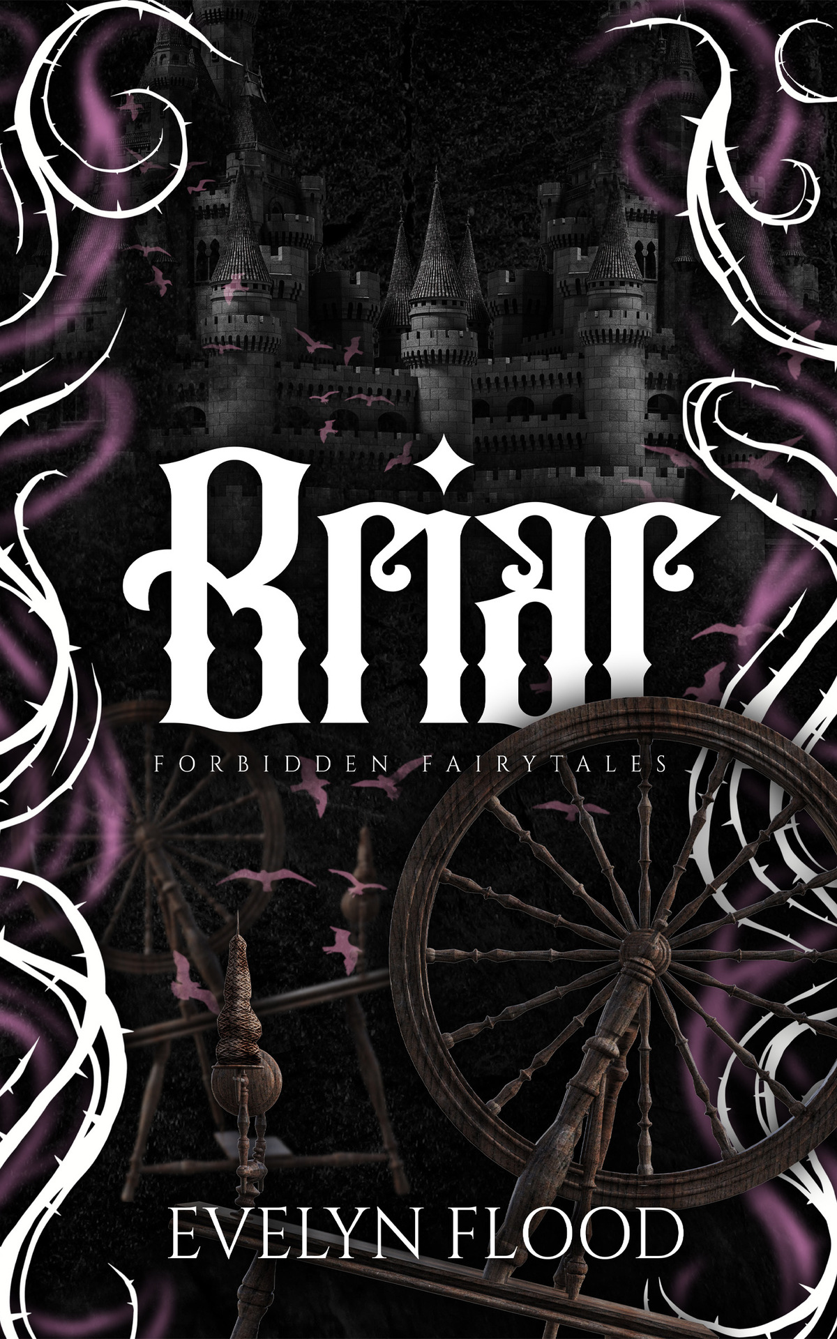 Briar A Why Choose Sleeping Beauty Retelling Forbidden Fairytales Evelyn Flood