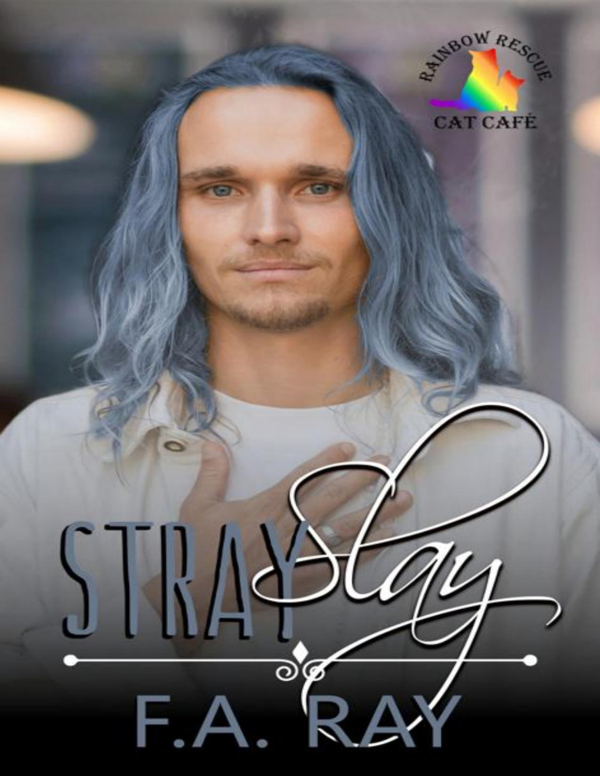 Stray Slay An Age Gap Small Town Mm Romance Rainbow Rescue Cat Caf Book 4 Fa Ray
