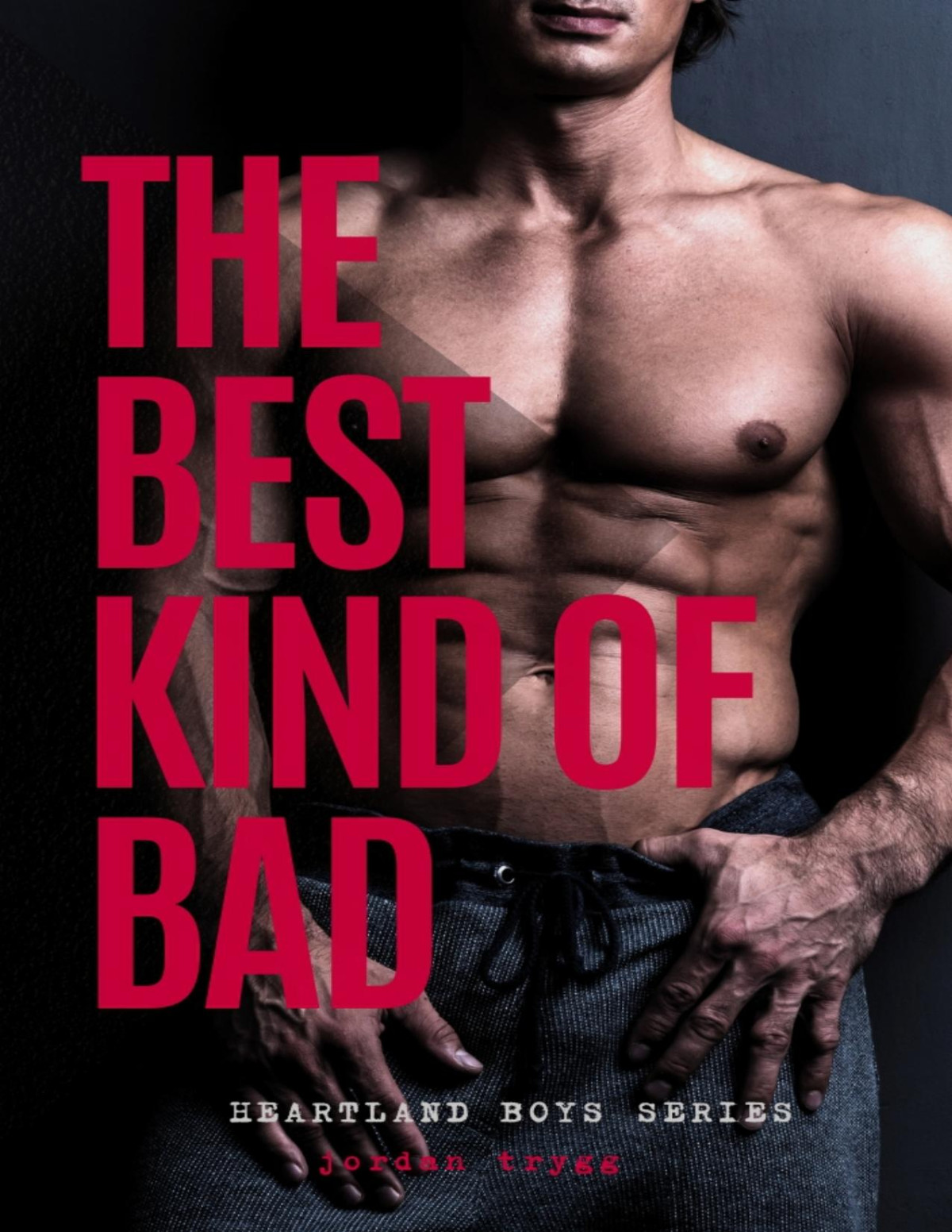 The Best Kind Of Bad The Heartland Boys Book 3 Jordan Trygg
