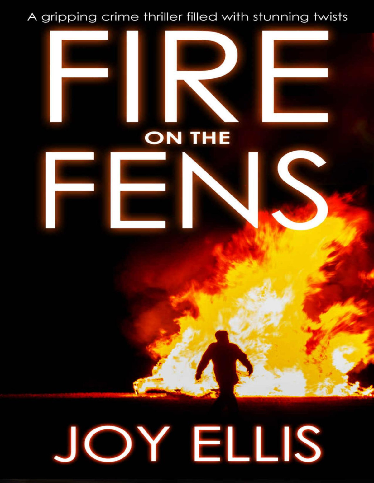 Fire On The Fens A Gripping Crime Thriller Filled With Stunning Twists Joy Ellis