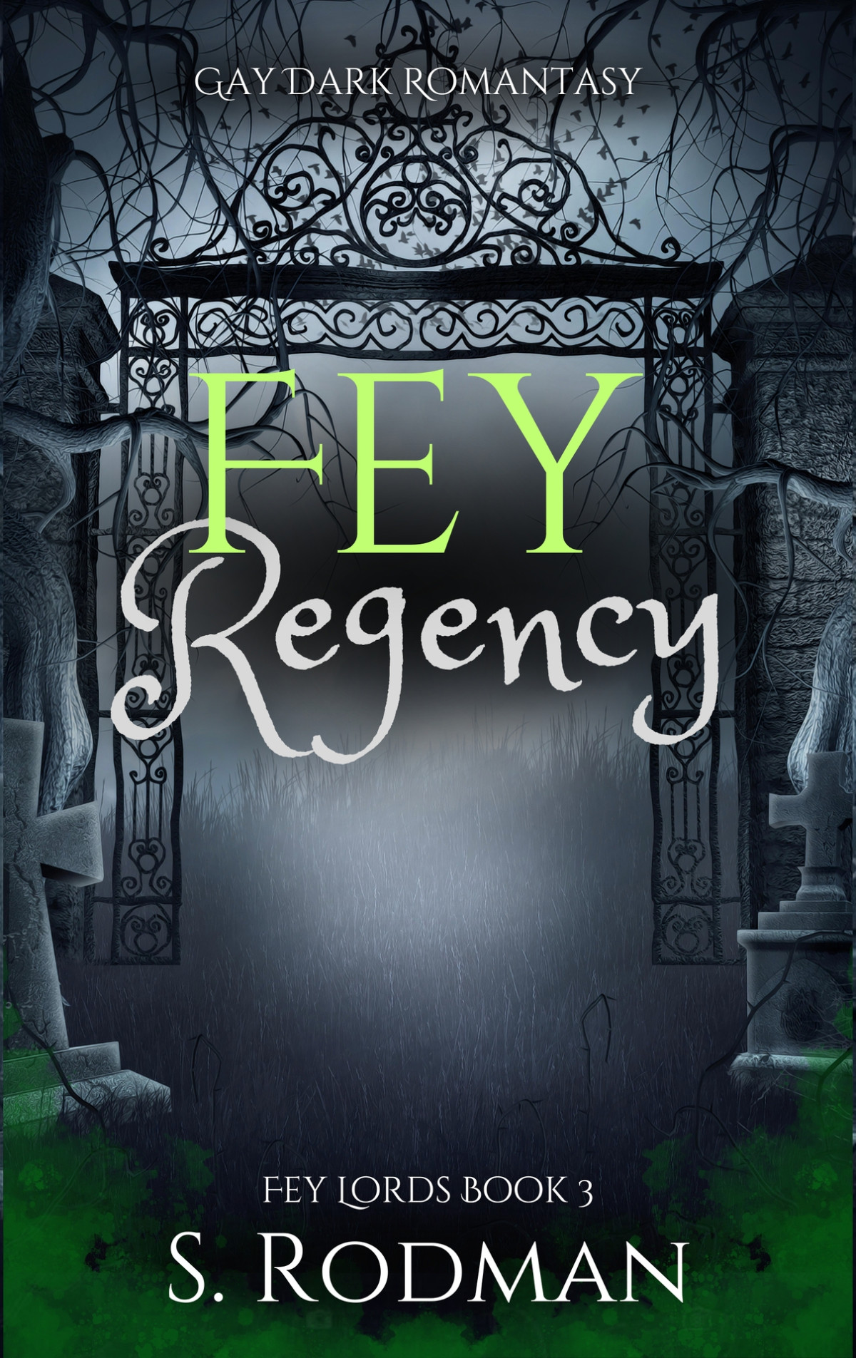 Fey Regency Gay Dark Romantasy Fey Lords Book 3 S Rodman
