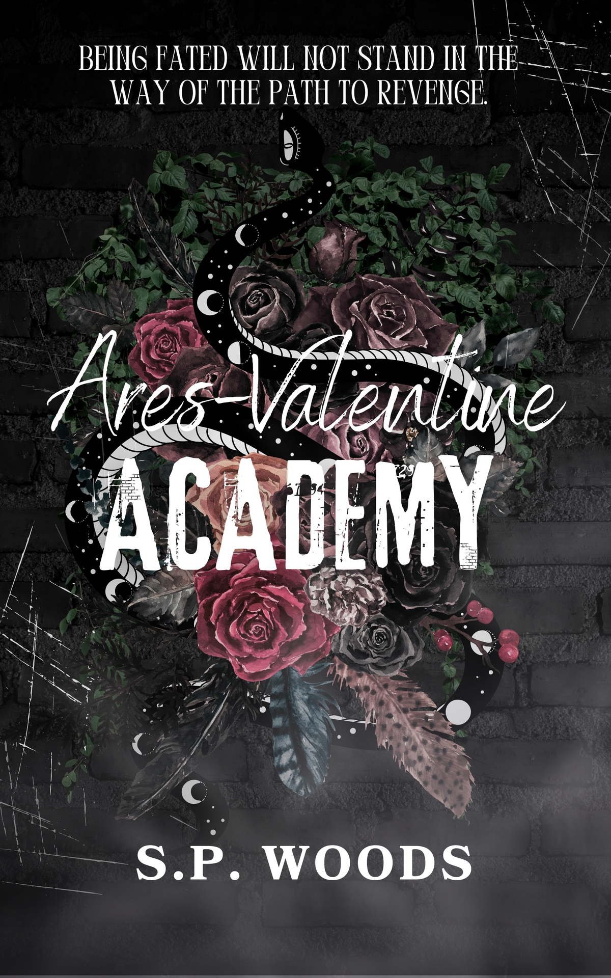 Aresvalentine Academy Aresvalentine Duology Book 1 Sp Woods