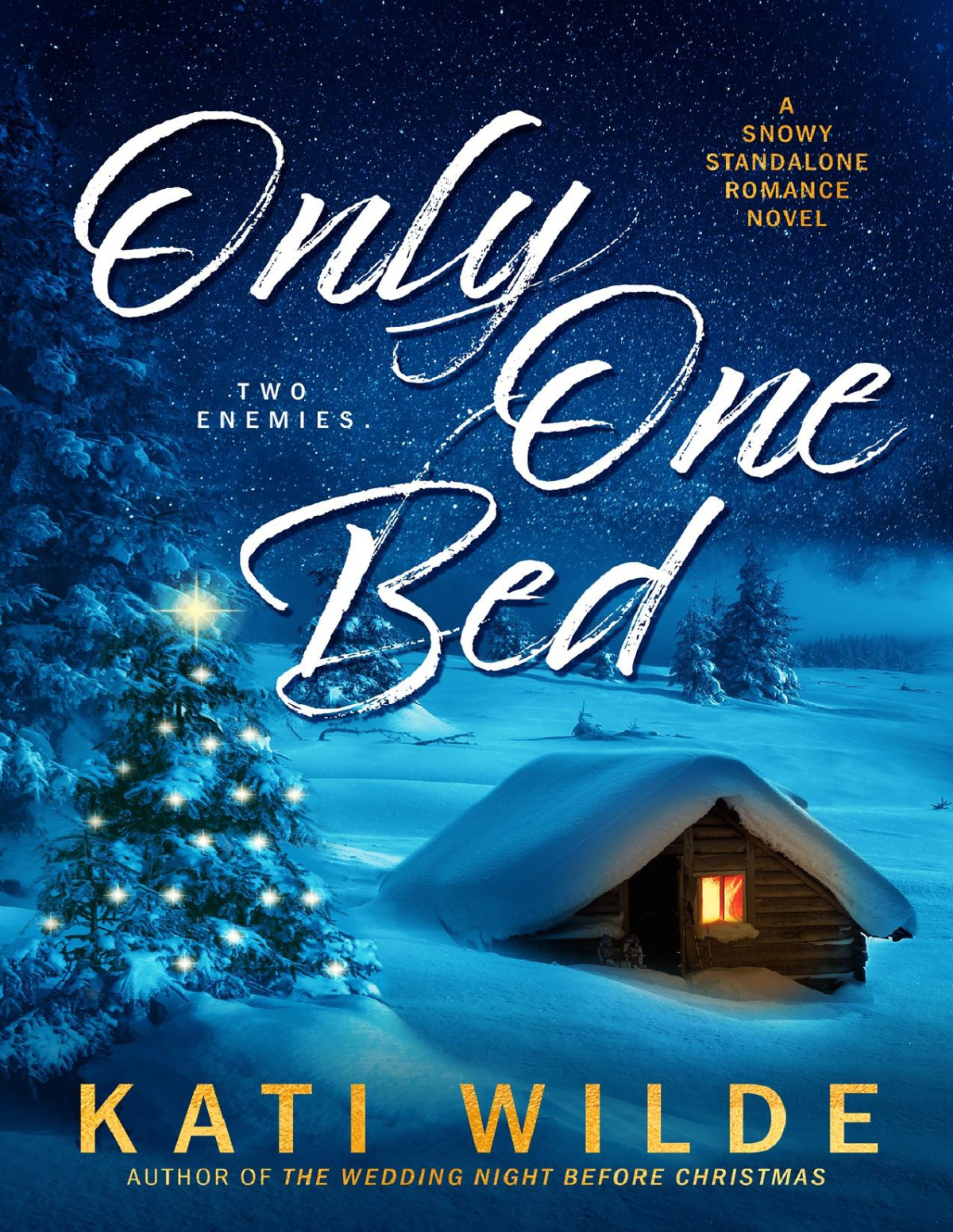 Only One Bed Kati Wilde