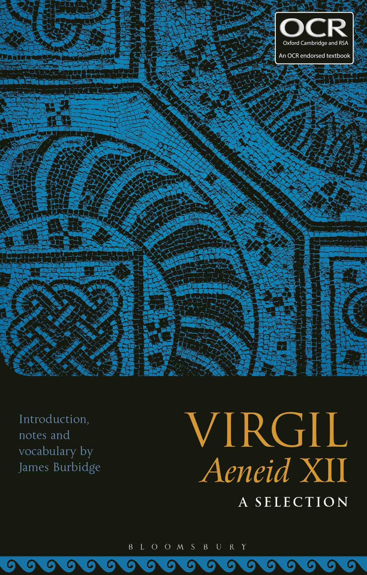 Virgil Aeneid Xii A Selection James Burbidge