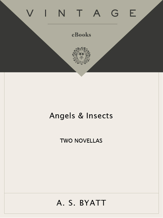 Angels Insects As Byatt