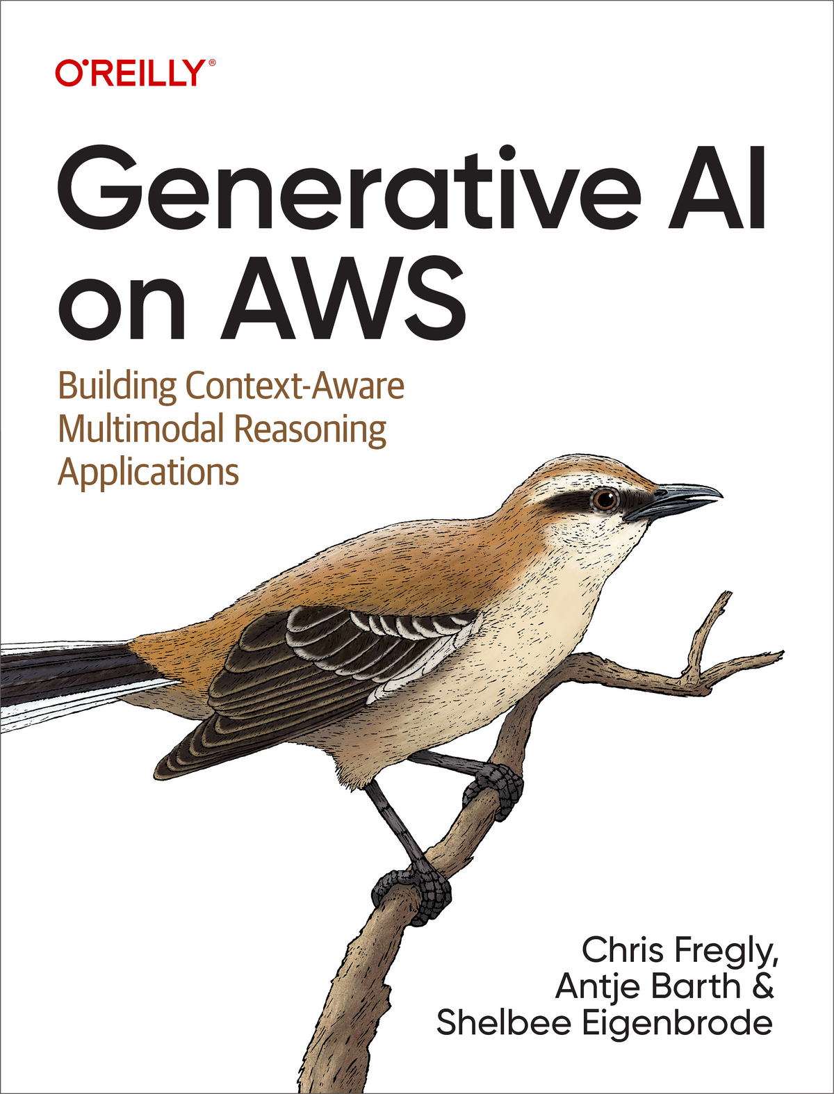 Generative Ai On Aws Chris Fregly