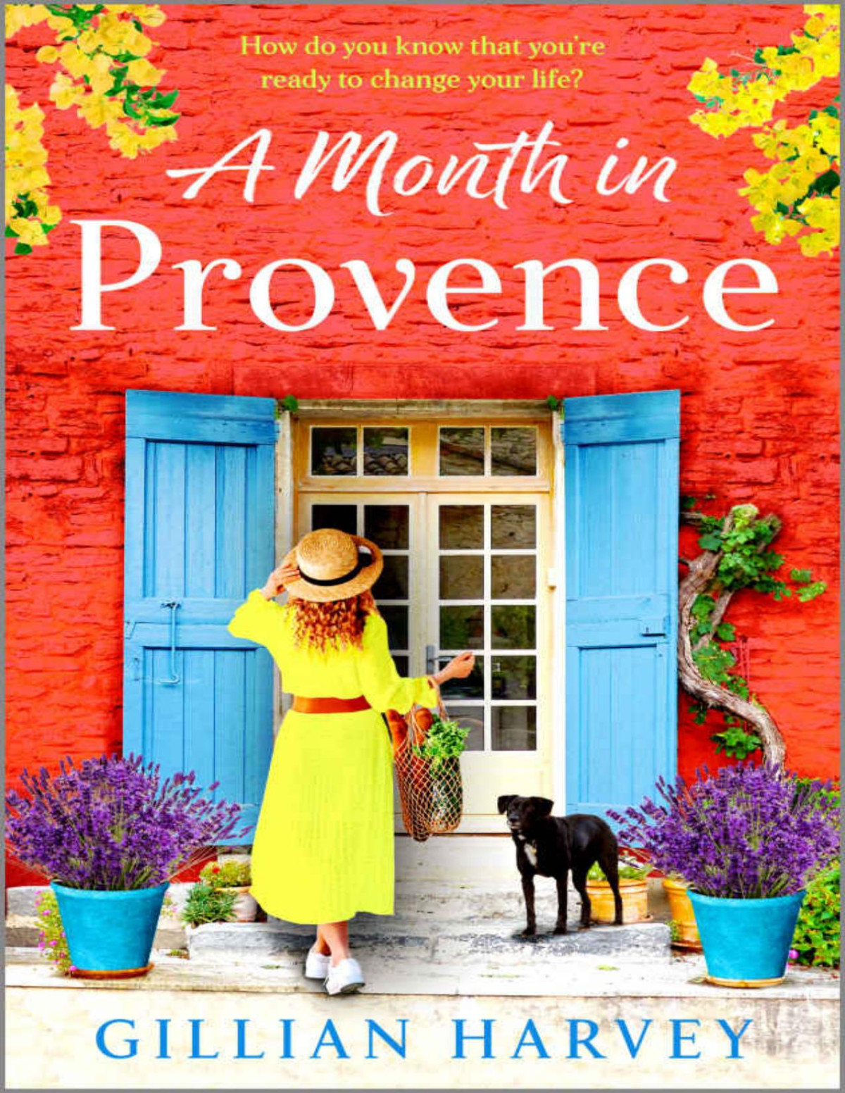 A Month In Provence Gillian Harvey