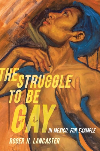 The Struggle To Be Gayin Mexico For Example 1st Edition Roger N Lancaster