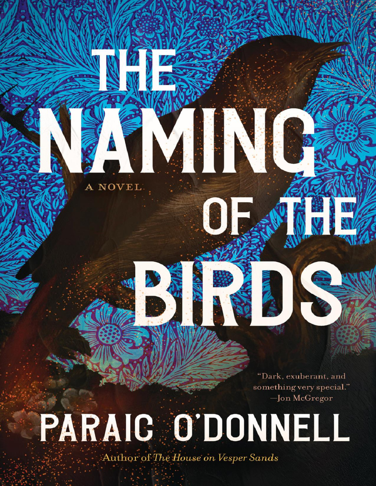 The Naming Of The Birds Paraic Odonnell