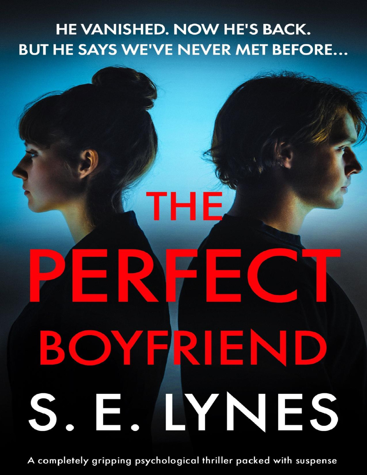 The Perfect Boyfriend S E Lynes
