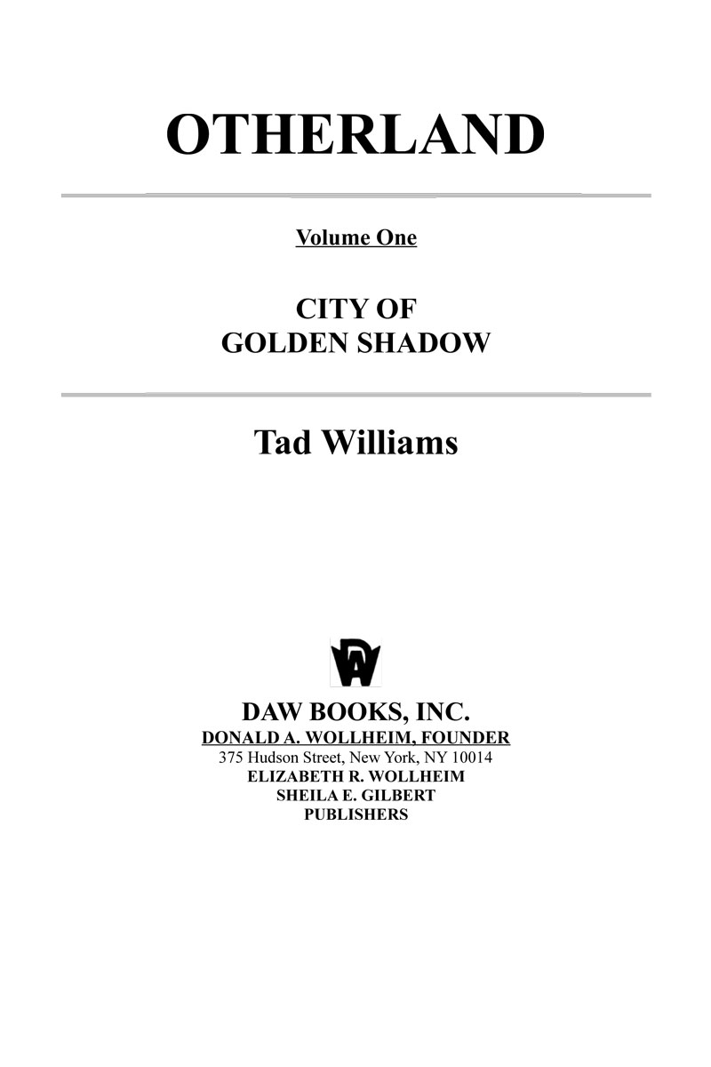 City Of Golden Shadow Tad Williams