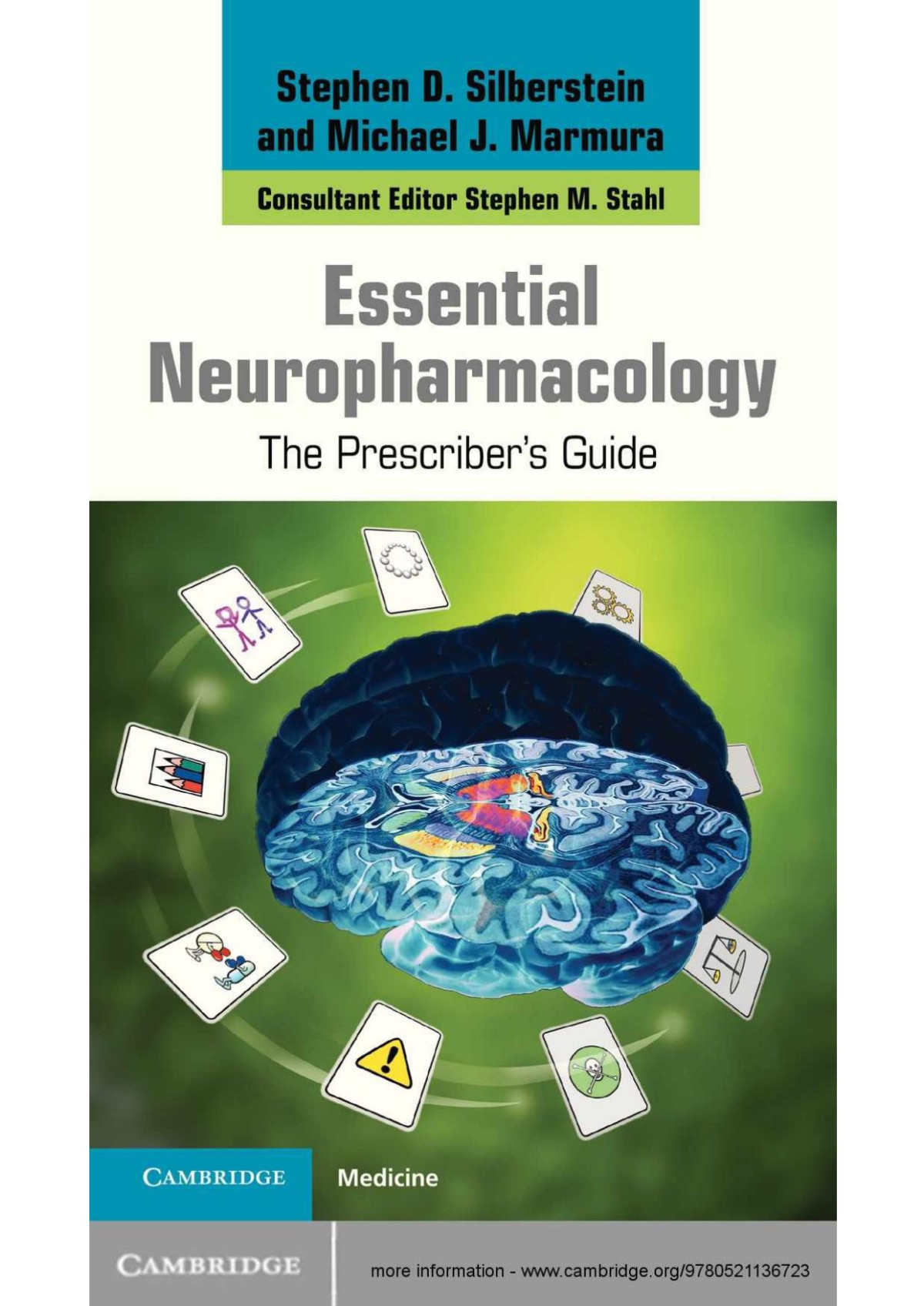 Essential Neuropharmacology The Prescribers Guide Silberstein