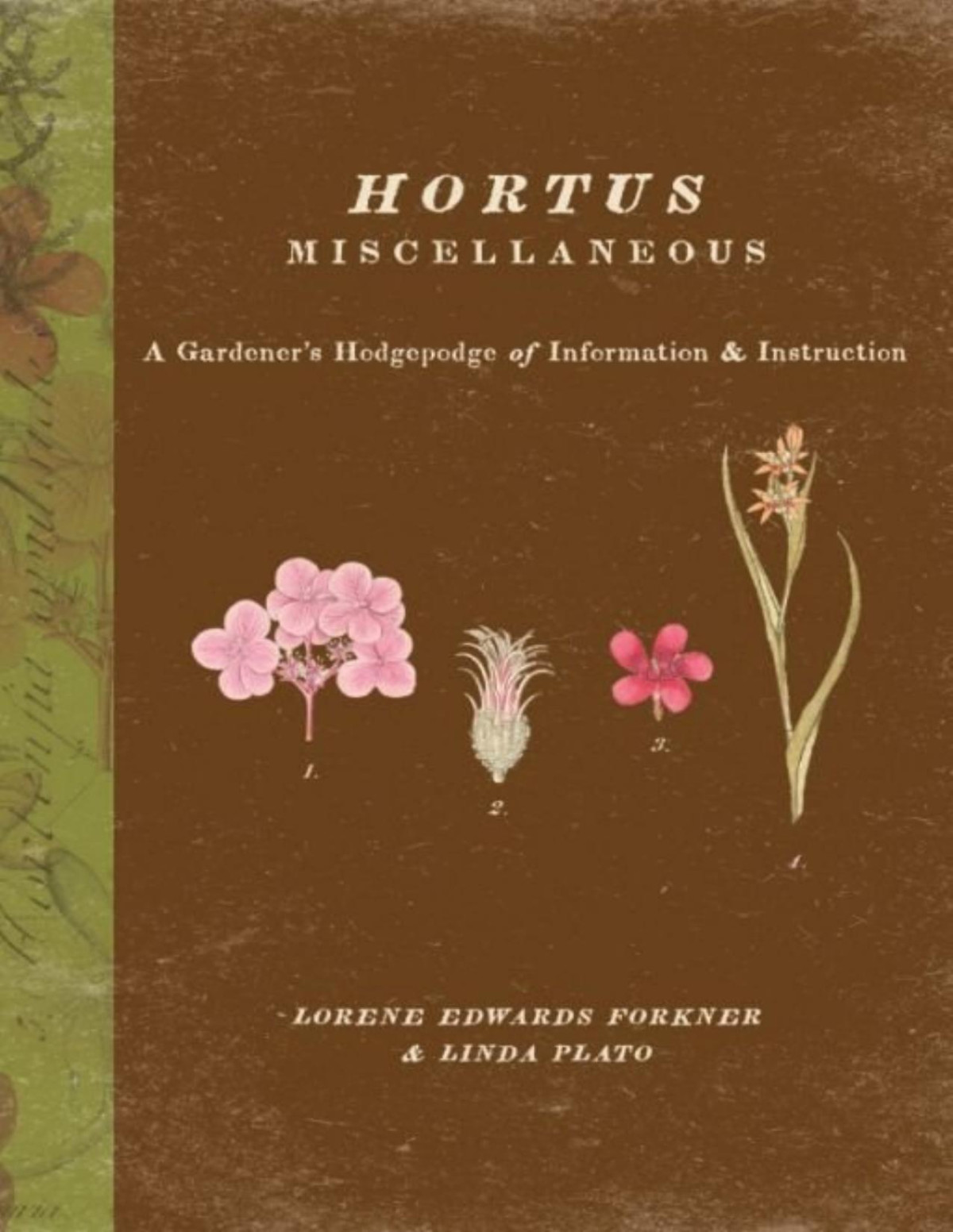 Hortus Miscellaneous Lorene Forkner