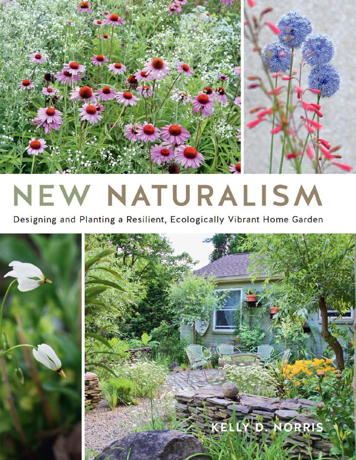 New Naturalism Kelly D Norris