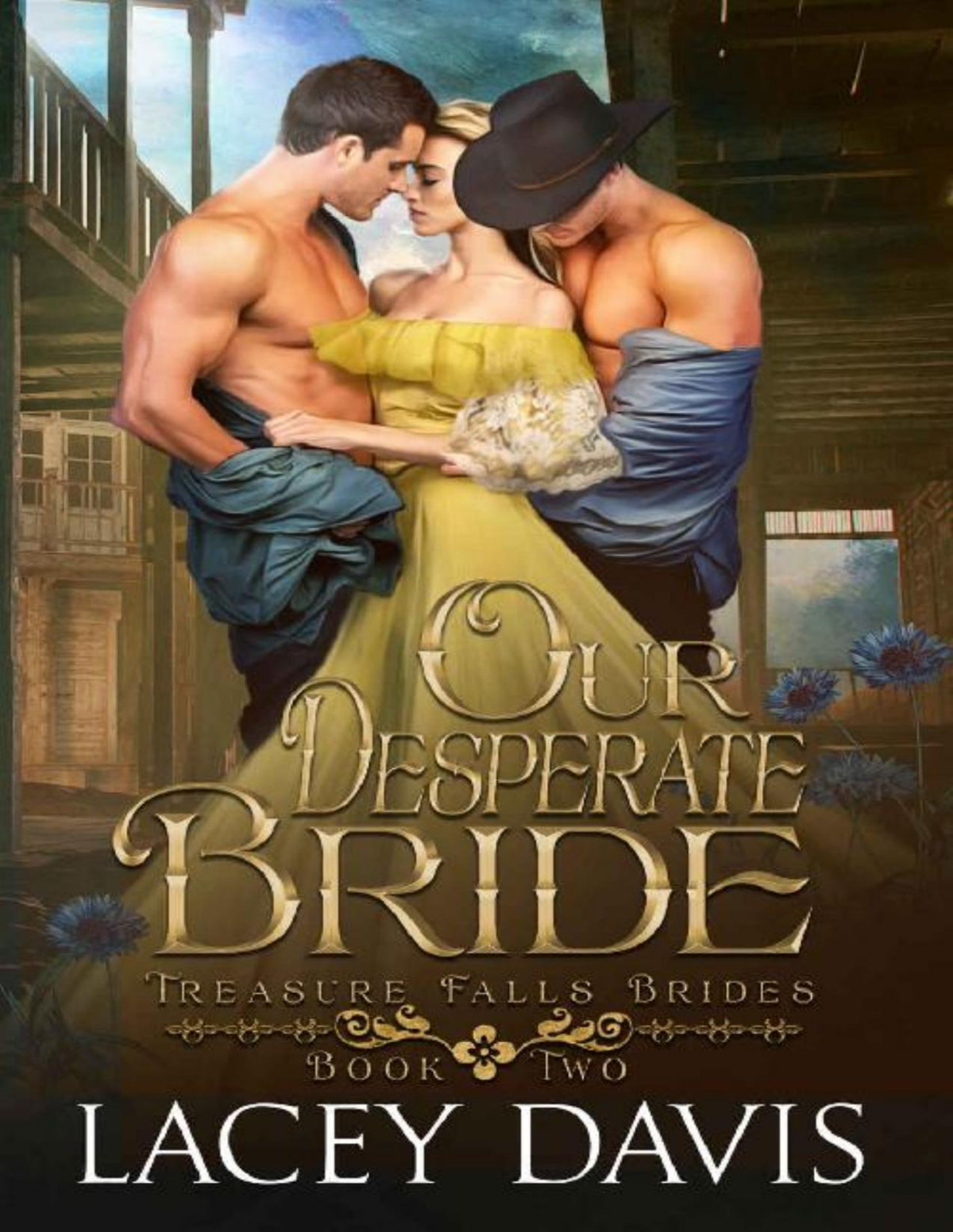 Our Desperate Bride Western Historical Romance Treasure Falls Brides Book 2 Lacey Davis