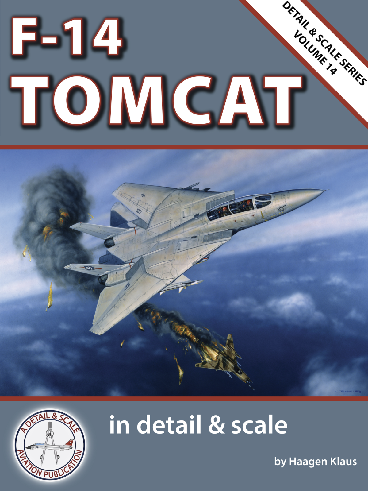 F14 Tomcat Ds For Epub Kobo Unknown