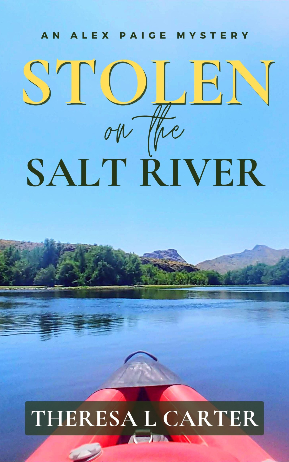 Stolen On The Salt River Theresa L Carter