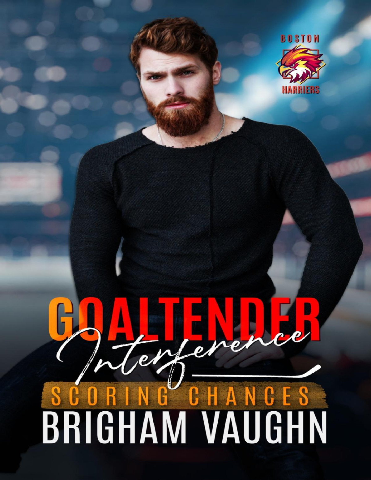 Goaltender Interference An Mm Hockey Romance Brigham Vaughn