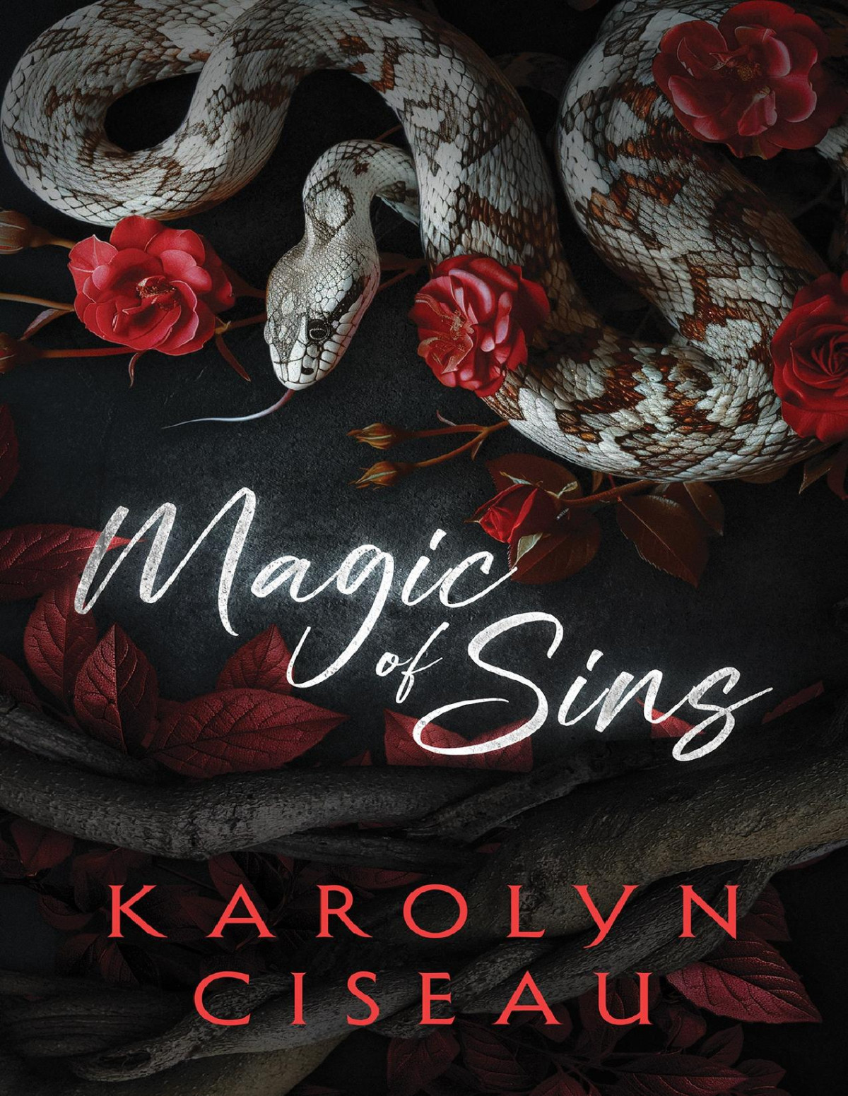 Magic Of Sins The First Book Of Sin Magic Karolyn Ciseau