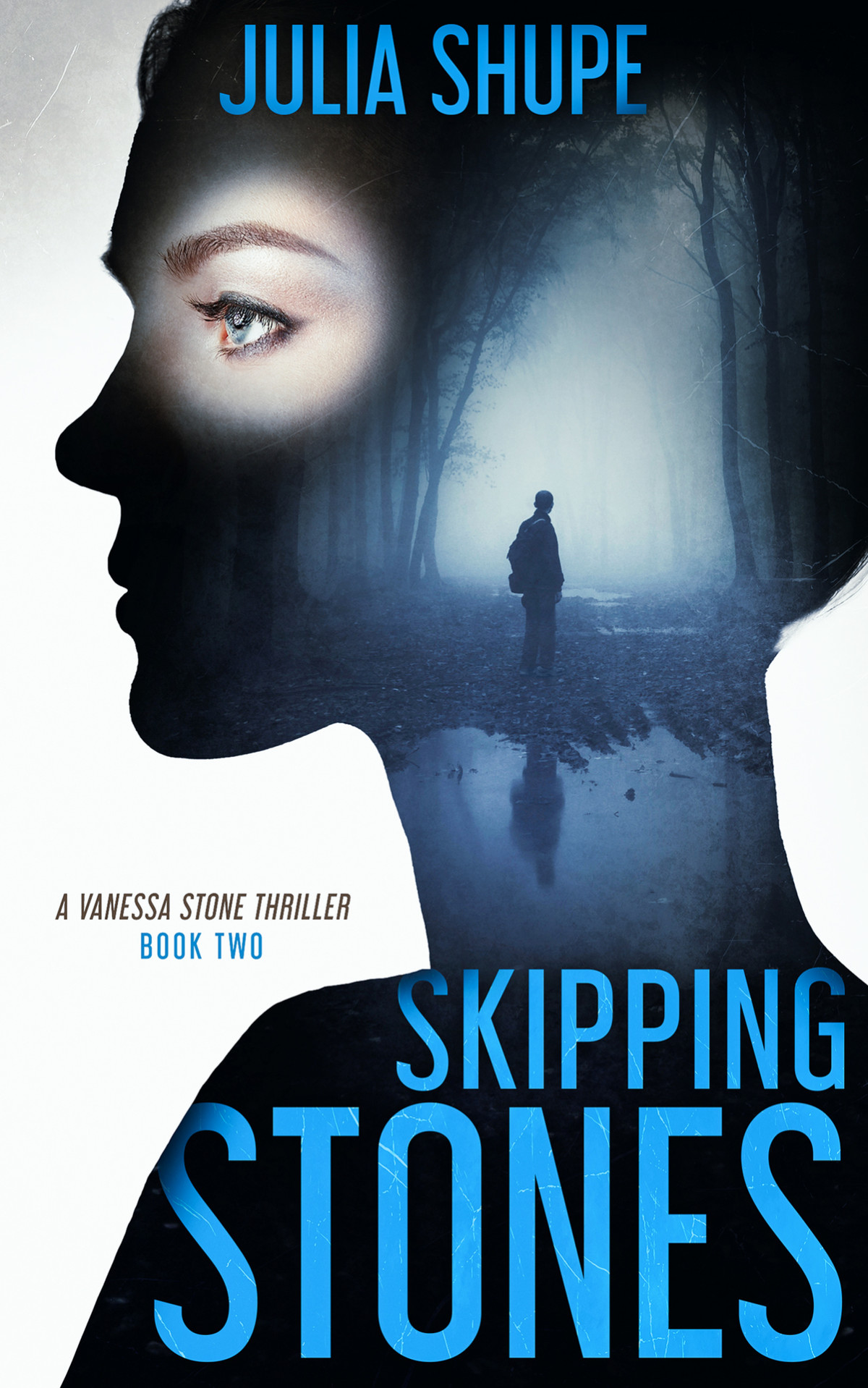 Skipping Stones Vanessa Stone 2 Julia Shupe