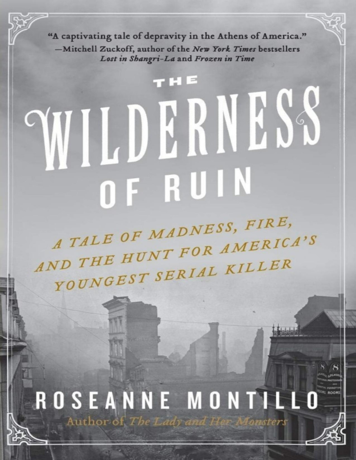 The Wilderness Of Ruin A Tale Of Madness Fire And The Hunt For Americas Youngest Serial Killer Roseanne Montillo