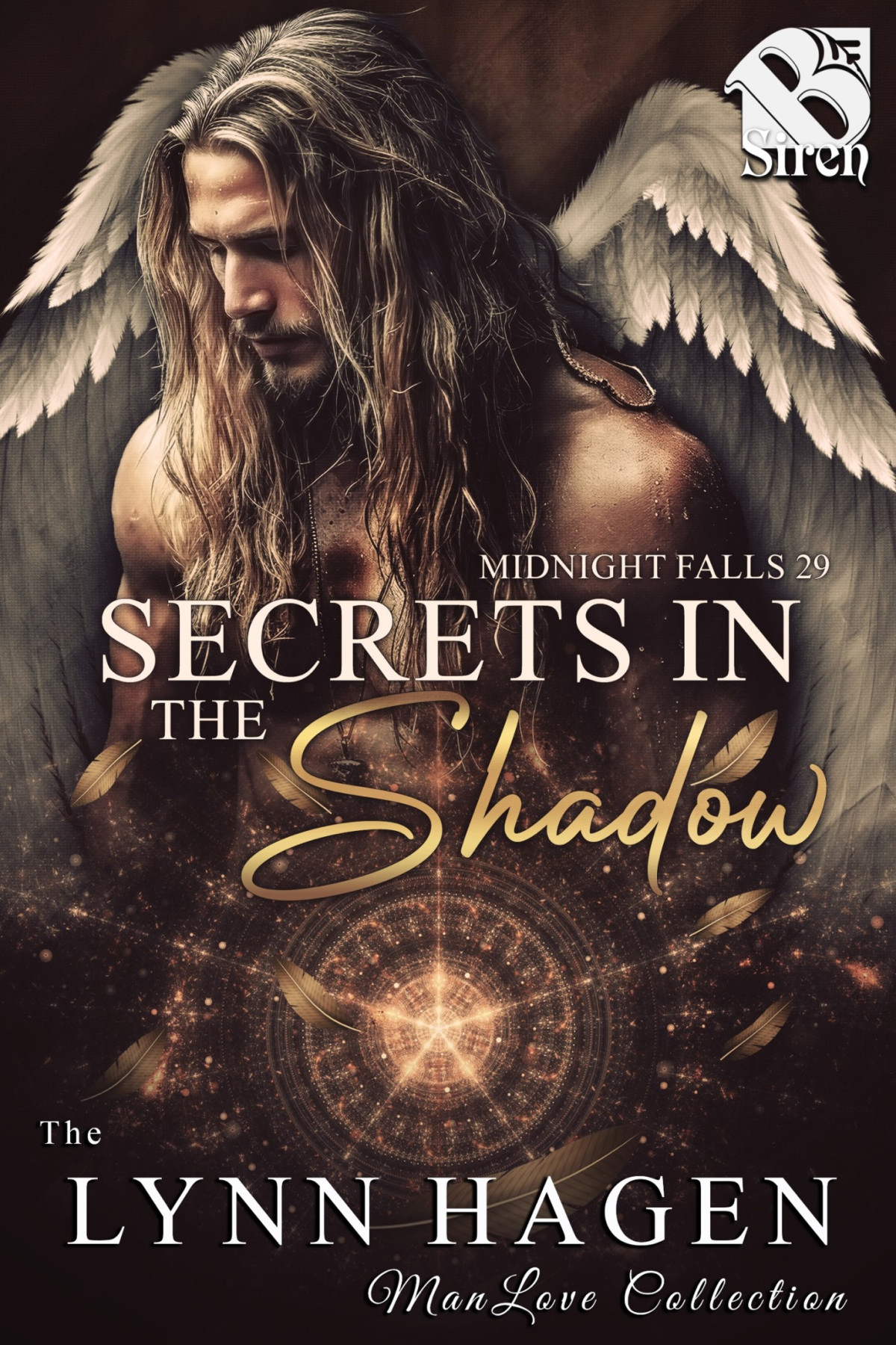 Secrets In The Shadow Lynn Hagen