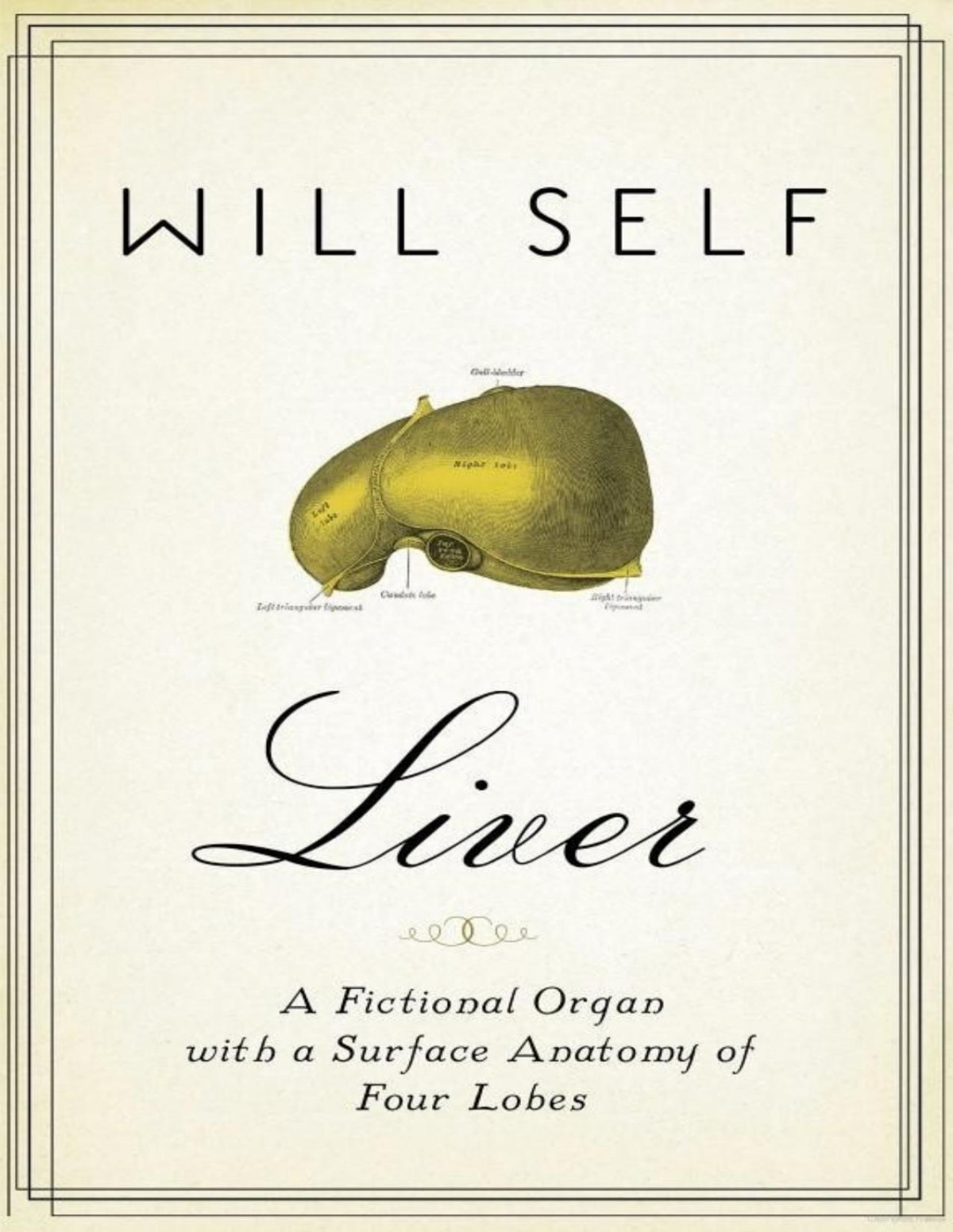 Liver A Fictional Organ With A Surface Anatomy Of Four Lobes Will Self