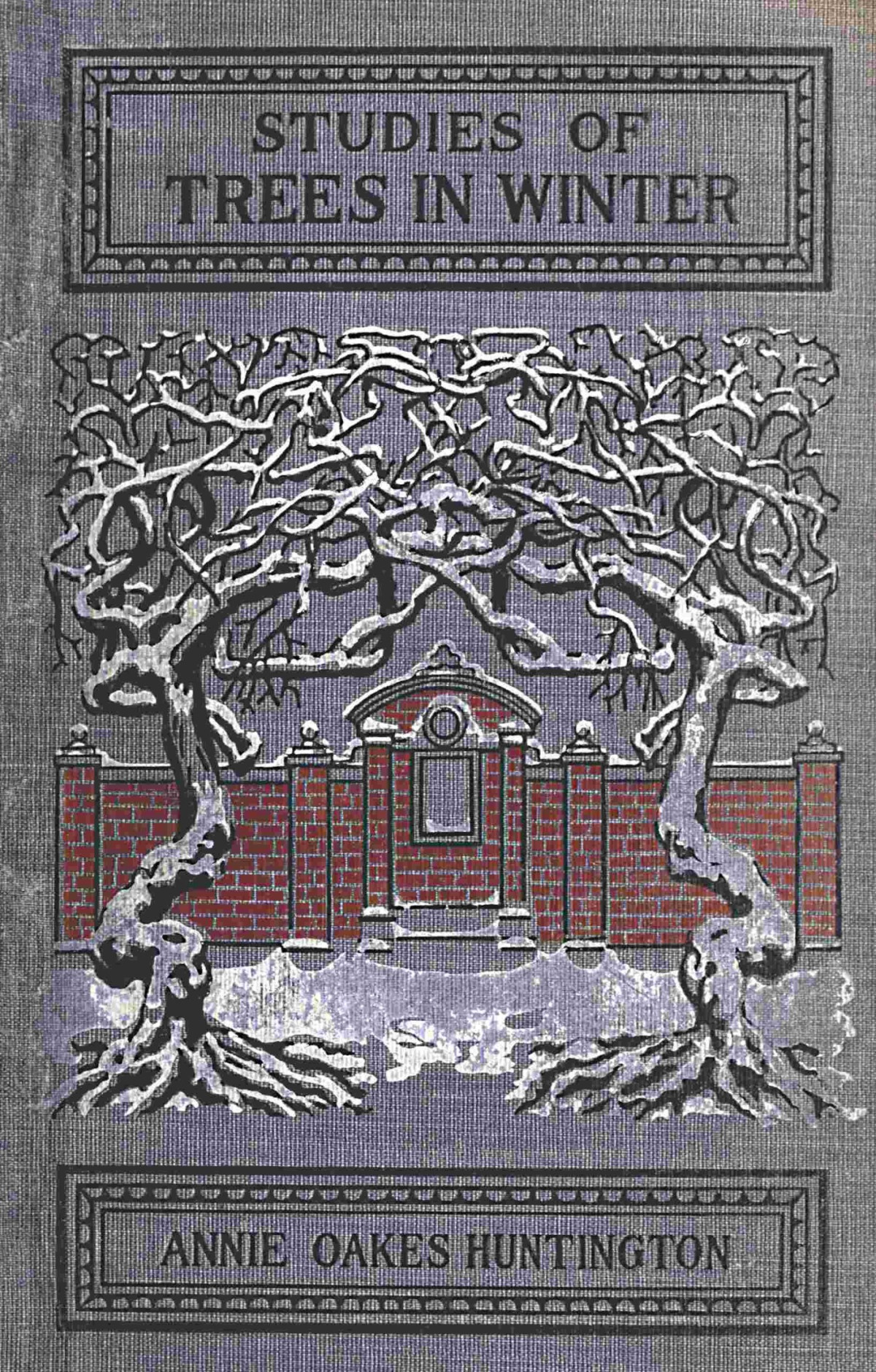 Studies Of Trees In Winter Annie Oakes Huntington