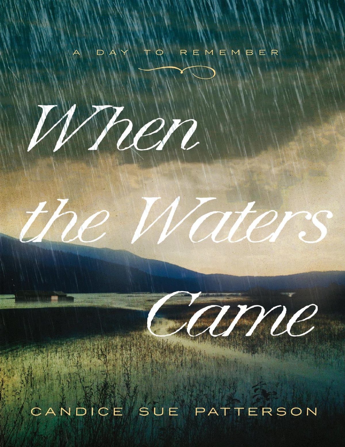 When The Waters Came Candice Sue Patterson