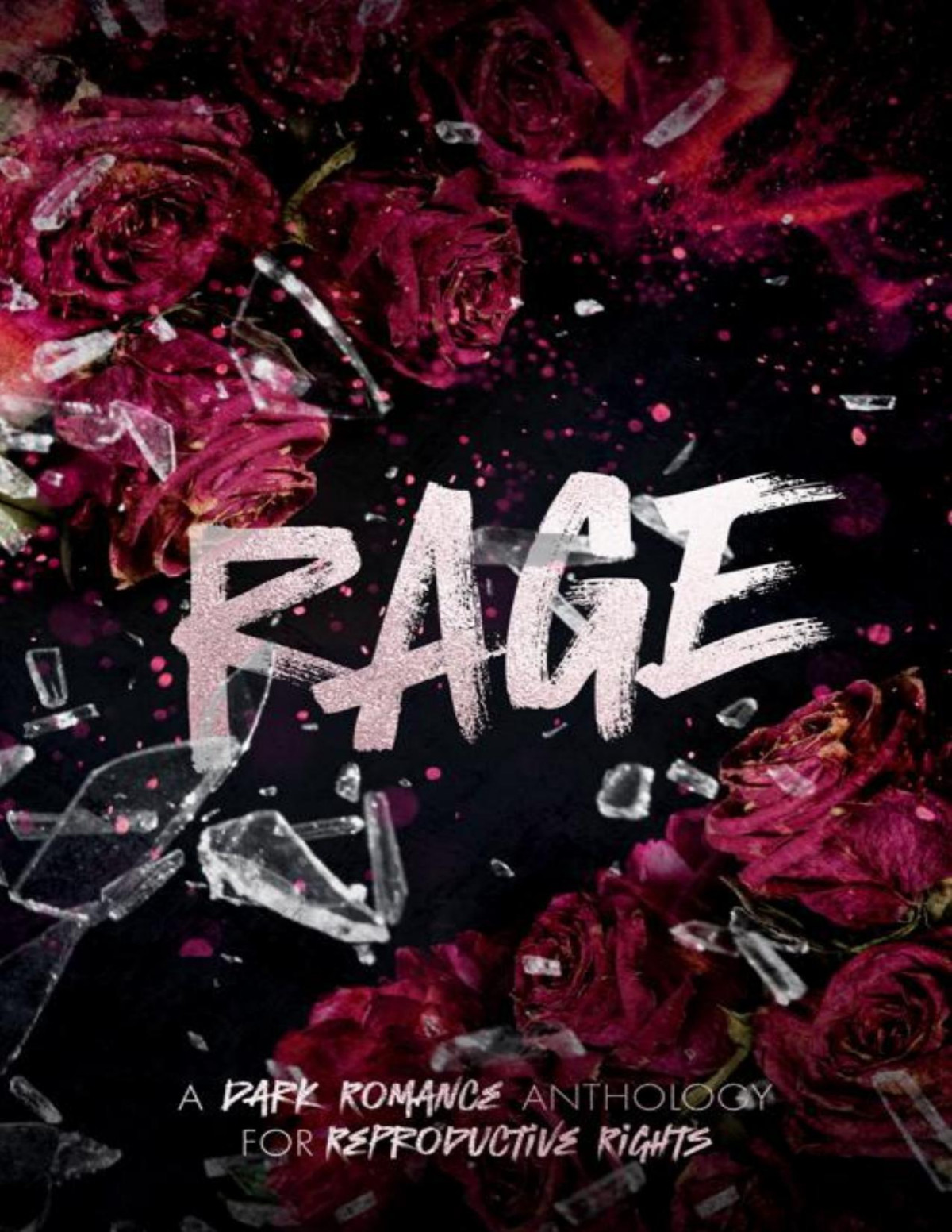 Rage A Dark Romance Anthology For Reproductive Rights 1st Edition Evie Dawn