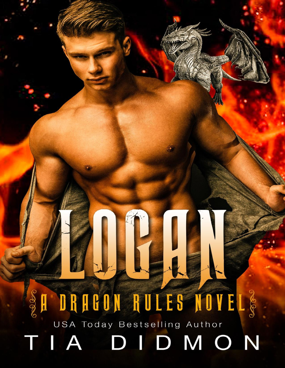 Logan Dragon Shifter Romance Dragon Rules Series Book 9 Tia Didmon