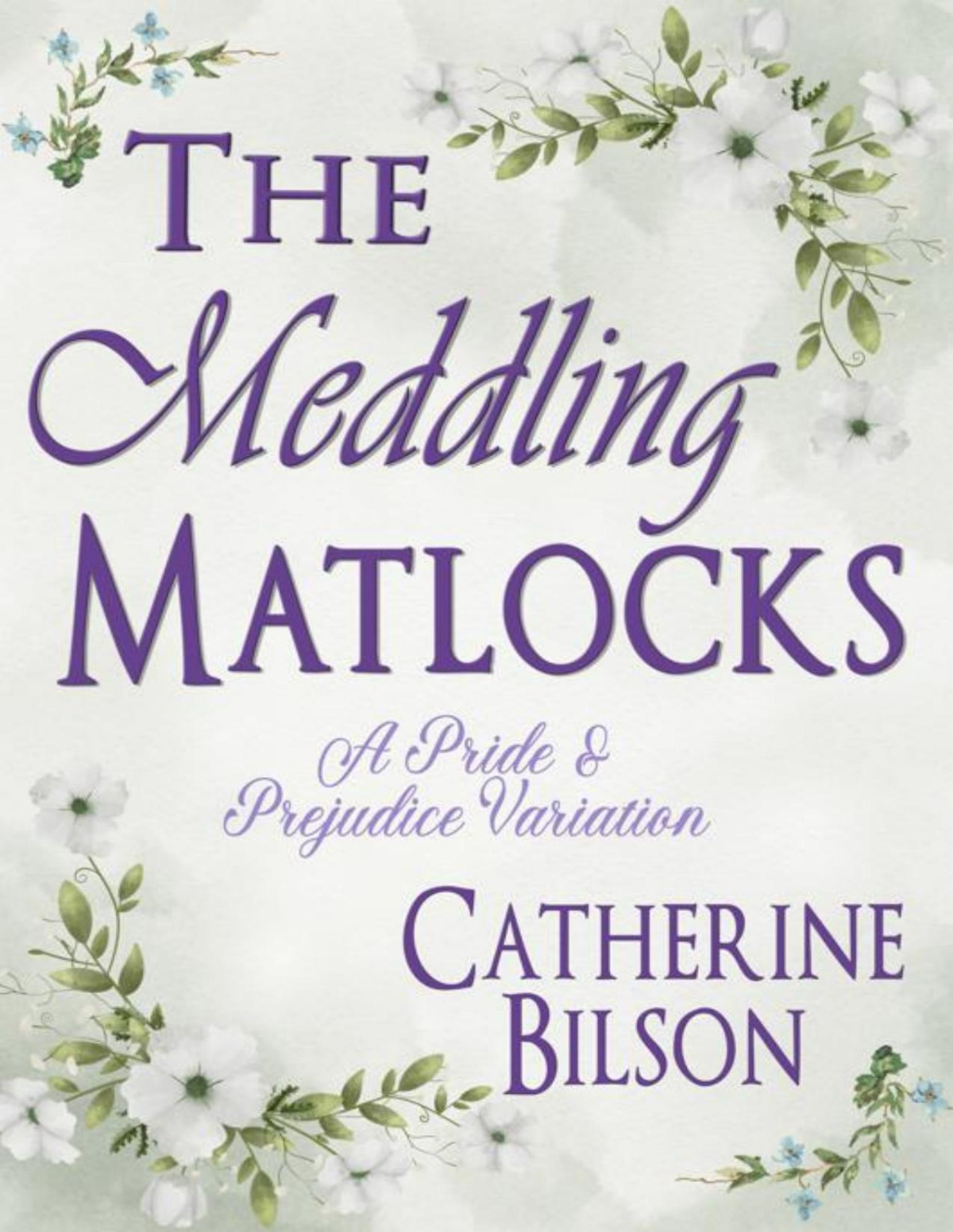 The Meddling Matlocks A Pride Prejudice Variation Catherine Bilson