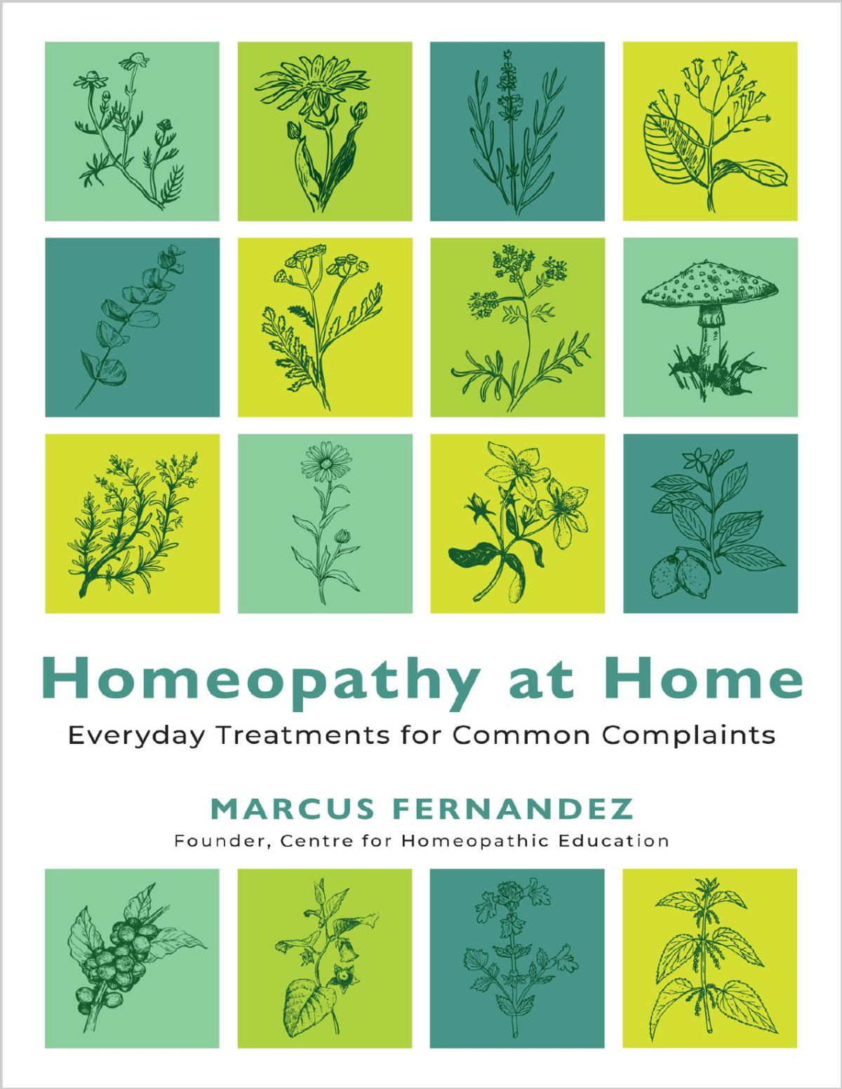 Homeopathy At Home Everyday Treatments For Common Complaints Marcus Fernandez