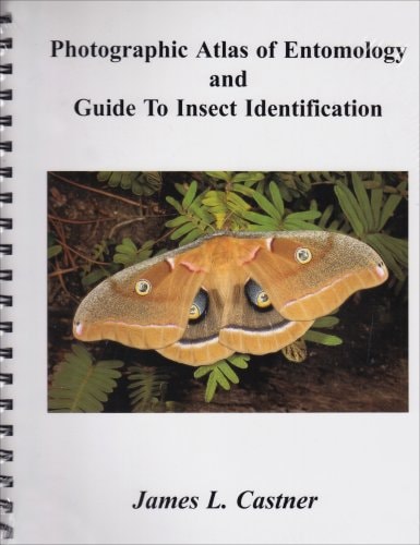 Photographic Atlas Of Entomology Guide To Insect Identification First Edition James L Castner