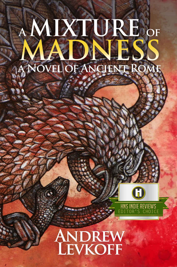 A Mixture Of Madness Book Ii Of The Bow Of Heaven Andrew Levkoff