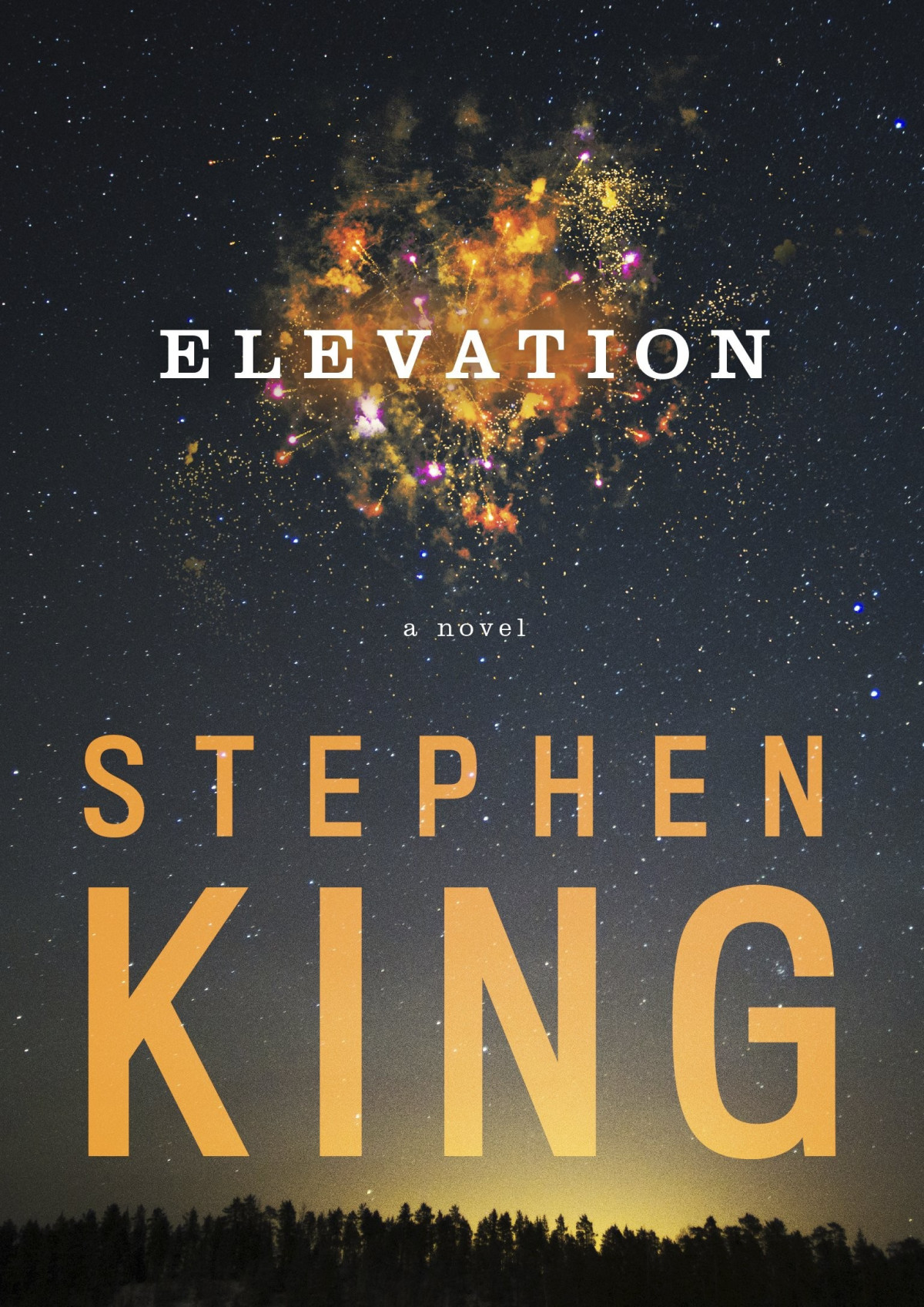 Elevation Stephen King