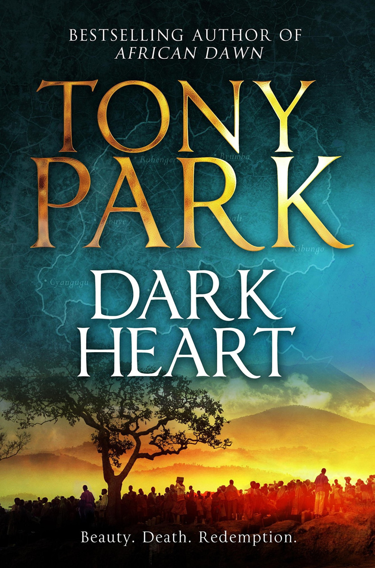 Dark Heart Tony Park