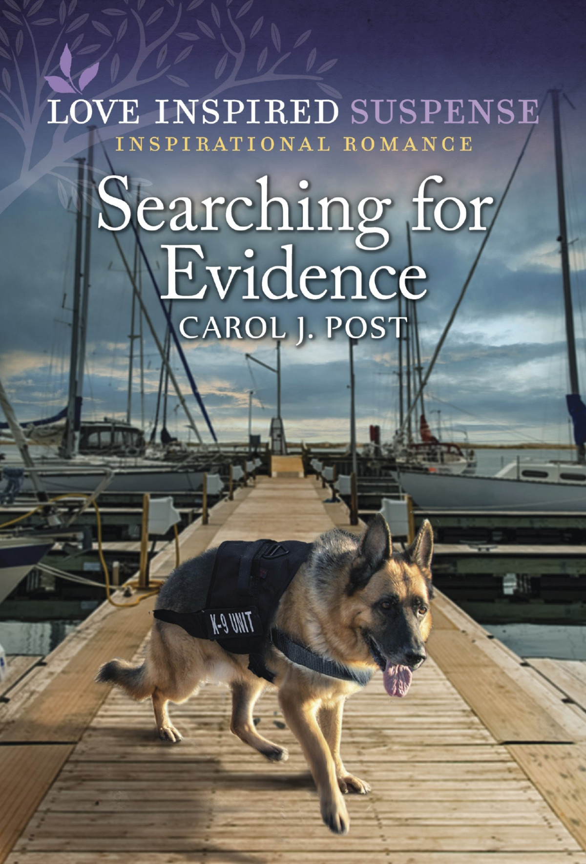 Searching For Evidence Carol J Post