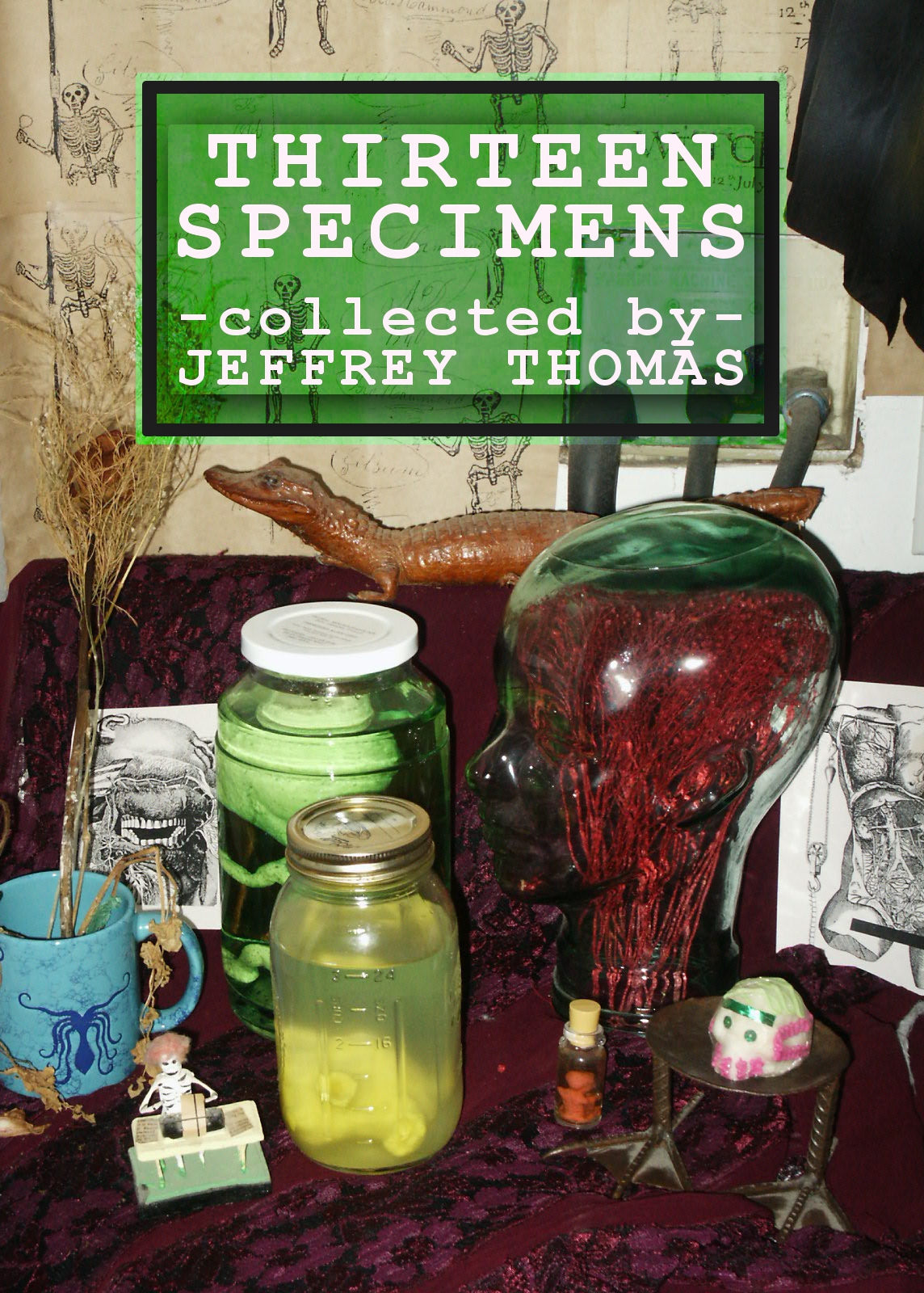 Thirteen Specimens Thomas Jeffrey
