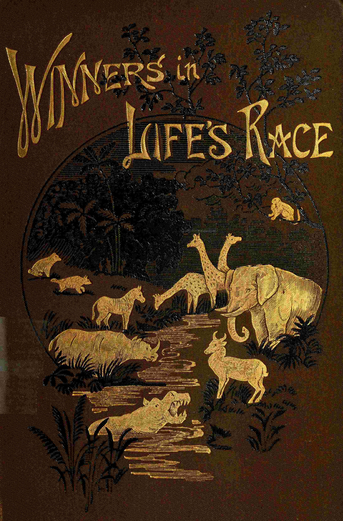 The Winners In Lifes Race Arabella B Buckley