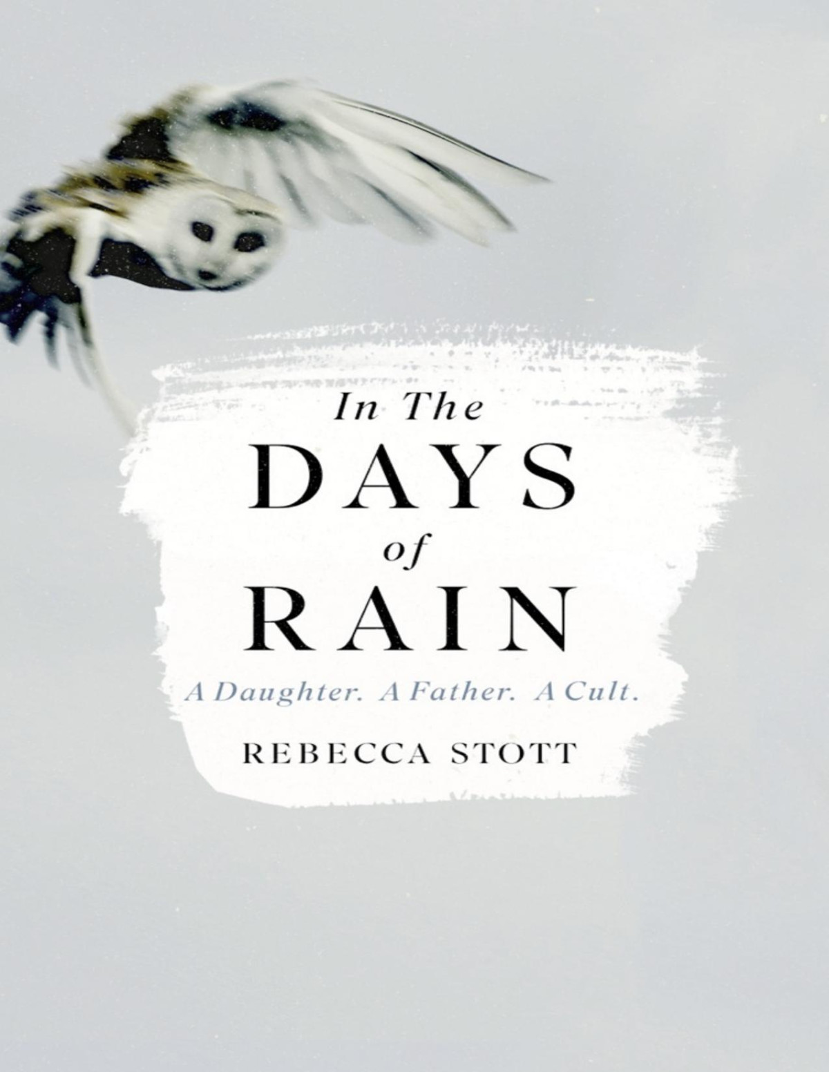 In The Days Of Rain Rebecca Stott