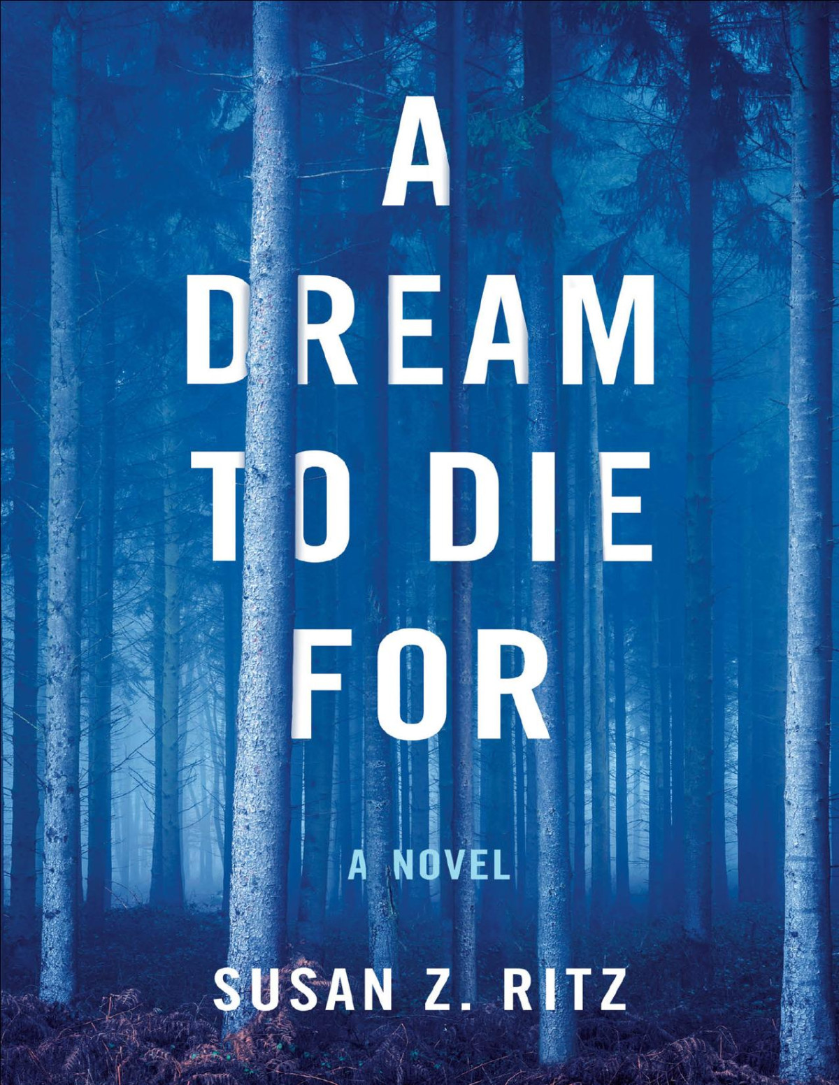 A Dream To Die For Susan Z Ritz
