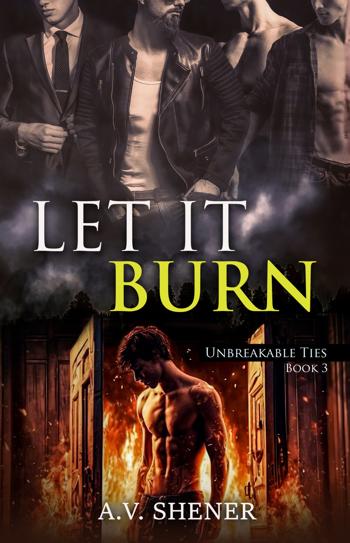 Let It Burn A V Shener