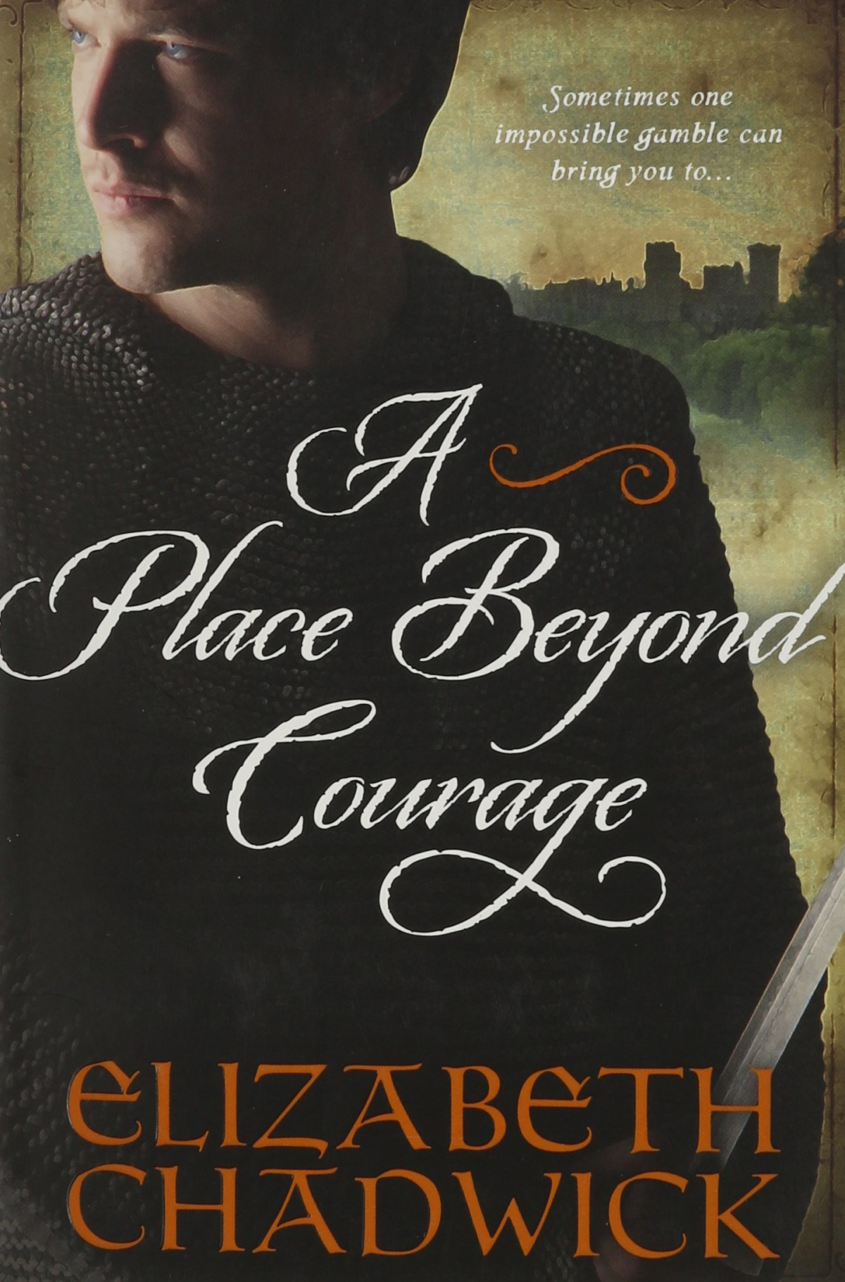 A Place Beyond Courage Elizabeth Chadwick