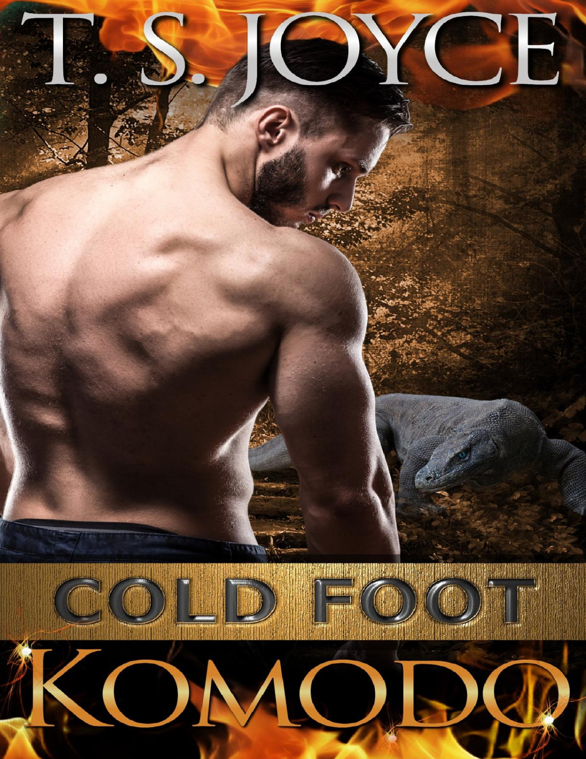 Cold Foot Komodo Wrecks Mountains Book 2 T S Joyce