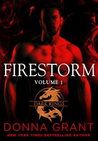 Firestorm Volume 1 Donna Grant